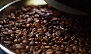 Close-Up-of-Coffee-Beans--007
